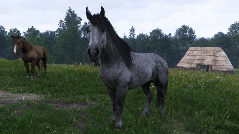 KCD 2 Pebbles 